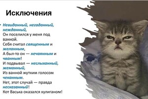 Пономарева Полина Константиновна — Полезные материалы с уроков — Портфолио №12