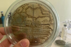 Поверенная Ангелина Сергеевна — Портфолио №12