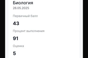 Поверенная Ангелина Сергеевна — Портфолио №14