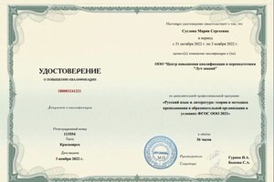 Пурель Мария Сергеевна — Диплом / сертификат №5