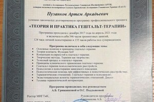 Пузанков Артём Аркадьевич — Диплом / сертификат №1