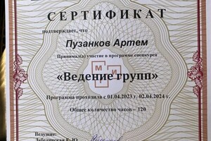 Пузанков Артём Аркадьевич — Диплом / сертификат №3