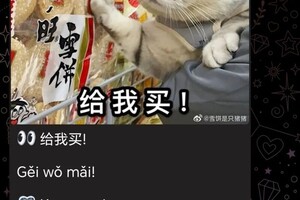 Рудь Марина Юрьевна — Портфолио №11