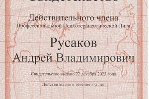 Русаков Андрей Владимирович — Диплом / сертификат №17