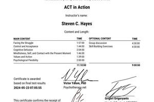 Русаков Андрей Владимирович — Диплом / сертификат №20