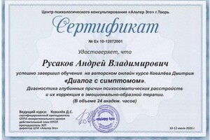 Русаков Андрей Владимирович — Диплом / сертификат №22