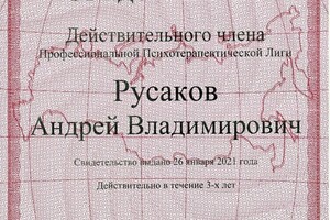 Русаков Андрей Владимирович — Диплом / сертификат №25