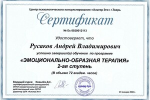 Русаков Андрей Владимирович — Диплом / сертификат №31