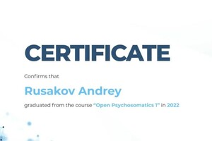 Русаков Андрей Владимирович — Диплом / сертификат №4