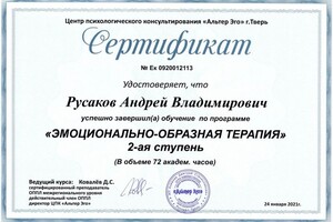 Русаков Андрей Владимирович — Диплом / сертификат №8