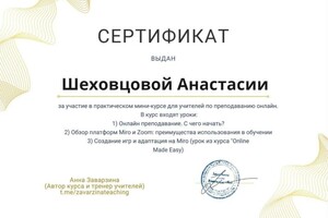 Шеховцова Анастасия Ивановна — Диплом / сертификат №4
