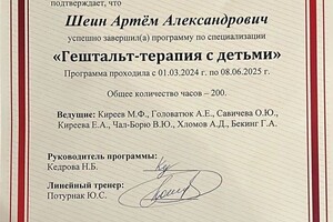 Шеин Артём Александрович — Диплом / сертификат №11