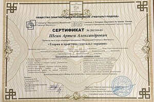 Шеин Артём Александрович — Диплом / сертификат №18