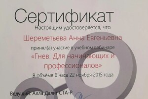 Диплом / сертификат №9 — Шереметьева Анна Евгеньевна