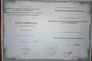 Шляховая Анастасия Васильевна — Диплом / сертификат №13