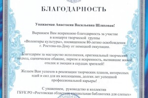 Шляховая Анастасия Васильевна — Диплом / сертификат №2