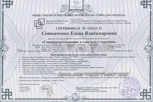 Сотниченко Елена Владимировна — Диплом / сертификат №1