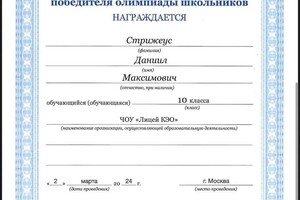 Стрижеус Даниил Максимович — Диплом / сертификат №1