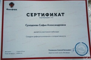 Сертификат об участии в вебинаре \