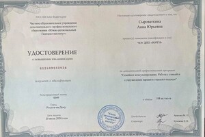 Сыроваткина Анна Юрьевна — Диплом / сертификат №6