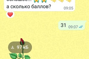 Тарабанова Мария Дмитриевна — Портфолио №28