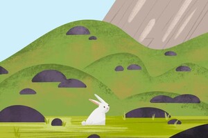 Тишкова Полина Дмитриевна — Портфолио №1