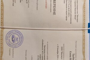 Трубникова Елена Игоревна — Диплом / сертификат №14