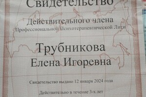 Диплом / сертификат №2 — Трубникова Елена Игоревна