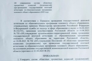 Васильева Василина Николаевна — Диплом / сертификат №10