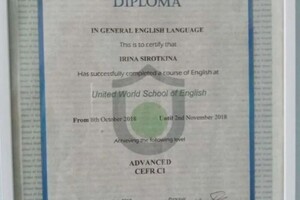 Васильковская Ирина Викторовна — Диплом / сертификат №2