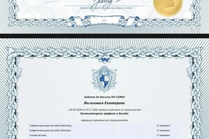 Вильховая Екатерина Сергеевна — Диплом / сертификат №2
