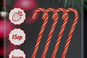 Вильховая Екатерина Сергеевна — Портфолио №11