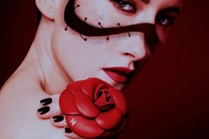 Вильховая Екатерина Сергеевна — Коллаж в Adobe Photoshop — Портфолио №14