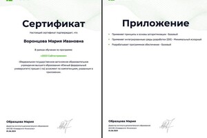 Воронцова Мария Ивановна — Сертификат — Портфолио №2