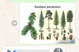 Якимова Наталья Александровна — Изучаем окружающий мир? — Портфолио №19