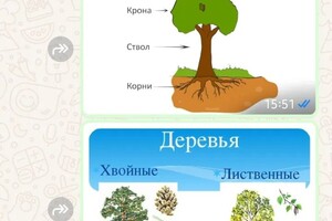 Якимова Наталья Александровна — Изучаем окружающий мир — Портфолио №20