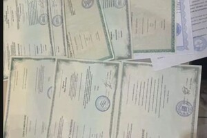 Жирнова Дарья Валерьевна — Портфолио №11