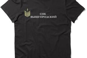 Портфолио №10 — Былинская Анна Владимировна
