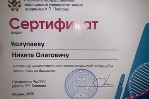 Диплом / сертификат №2 — Колупаев Никита Олегович