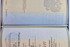Диплом / сертификат №2 — Панин Александр Александрочич