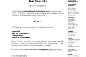 Диплом / сертификат №7 — Шнуренко Анна Витальевна