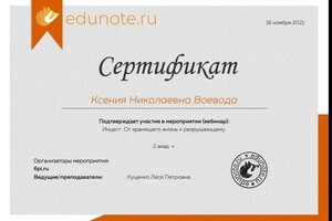 Диплом / сертификат №6 — Воевода Ксения Николаевна