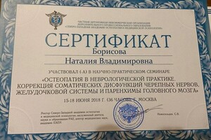 Диплом / сертификат №2 — Борисова Наталия Владимировна