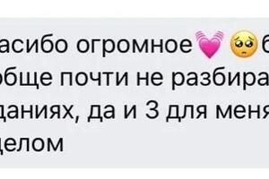 отзыв от ученицы, с которой занимались онлайн, что не помешало усвоению знаний — Бурмистрова Софья Сергеевна