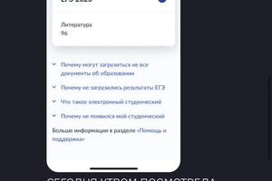 Ученица 2022 года получила 96 баллов по литературе — Ионова Екатерина Вениаминовна