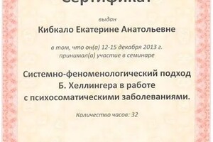 Диплом / сертификат №15 — Кибкало Екатерина Анатольевна