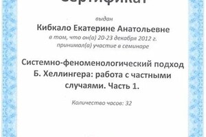 Диплом / сертификат №22 — Кибкало Екатерина Анатольевна