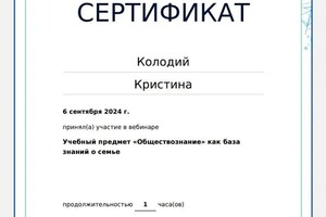 Диплом / сертификат №3 — Колодий Кристина Валерьевна