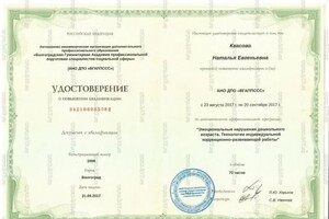 Диплом / сертификат №17 — Квасова Наталья Евгеньевна