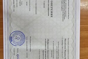 Диплом / сертификат №15 — Михайлина Марина Валентиновна
